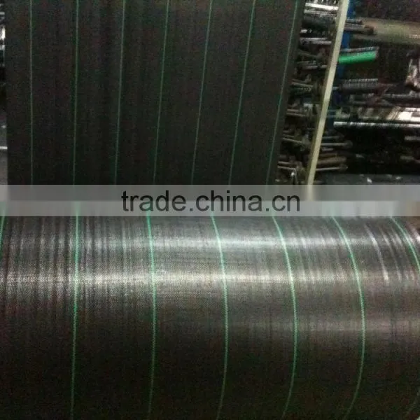 pp Woven Ground Cover Supplier photo-2