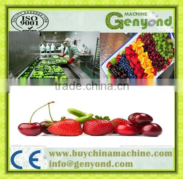 Frozen Shrimp Instant Freezer/meat/Seafood Iqf Machine Quality Choice