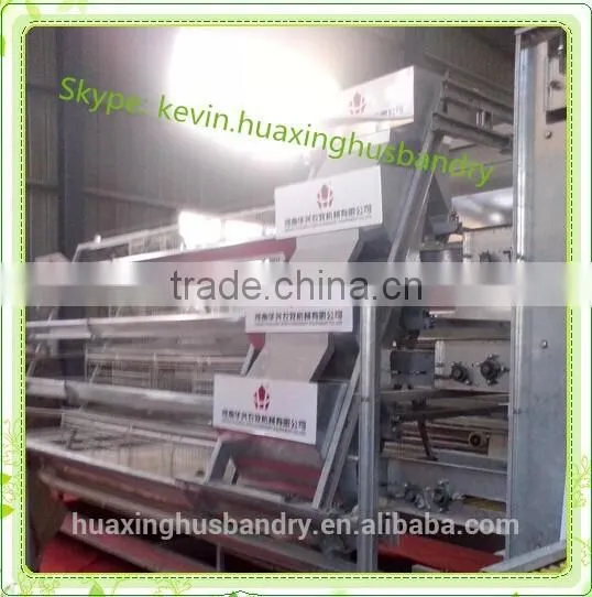 Automatic Poultry Equipment