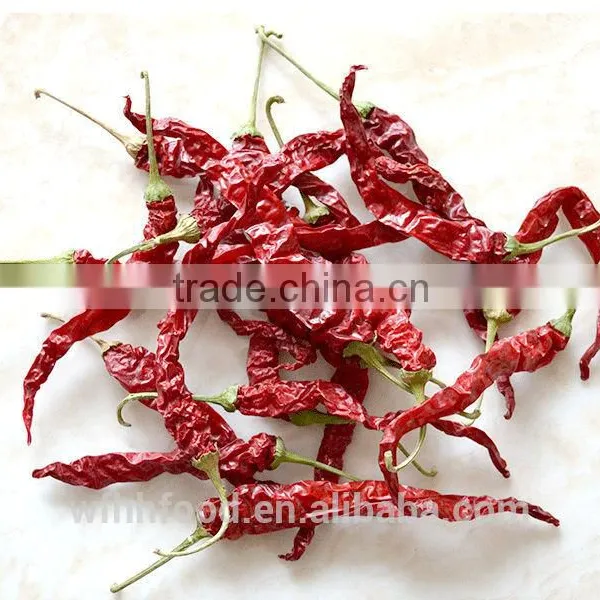 India Dry Red Chilli photo-4