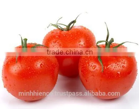 Pickled Tomatoes in 1500ml Glass Jar and 720ml Glass Jar. photo-3