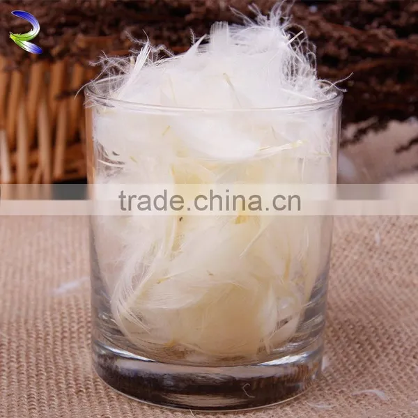China Supplier Feathers for Sale Cheap White Duck Feather photo-2