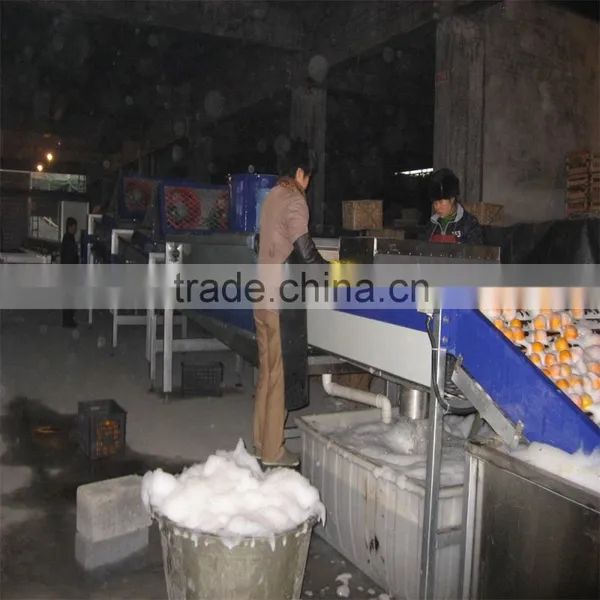 Weigher Type Sorting Machine photo-4