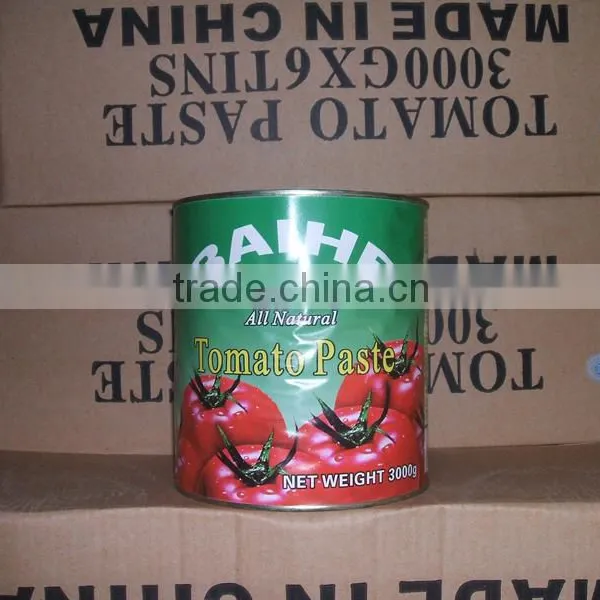 Custom Stick Label Tinned Tomato Paste, Canned Tomato Paste 800gram photo-2