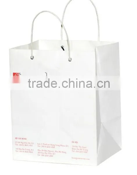 Kraft Bag With Paper Rope Handle