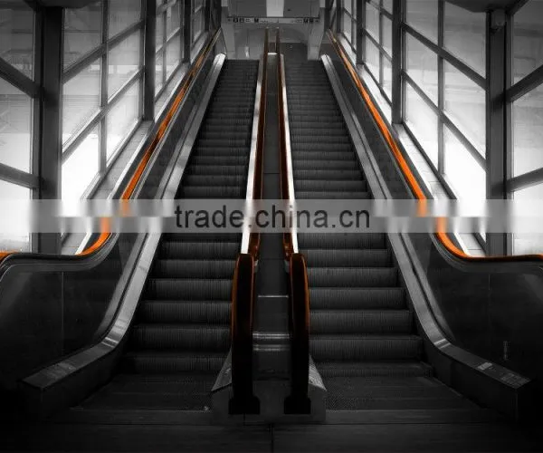 35 & 30 Degree Stainless Steel Step Classic Escalator With INTENTEC