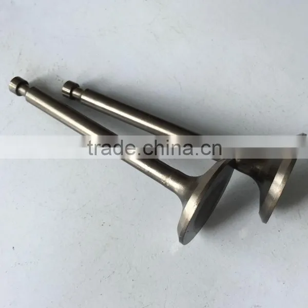 188F BISON China Taizhou Exhaust Valve, Valve Exhaust, Engine Valve photo-4