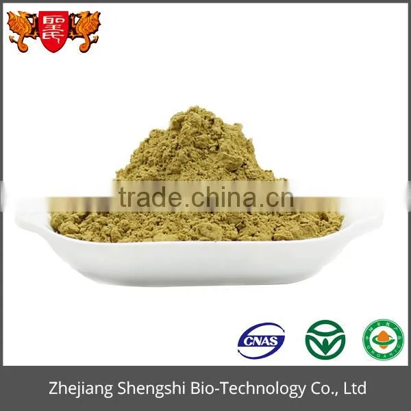 High Quality Plant Extract Peppermint Extract Mint Extract ,Herbal Mint Leaf Extract Powder photo-5