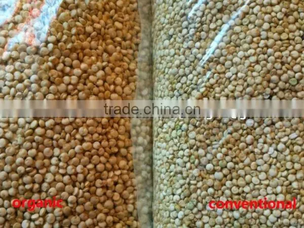 Organic White Quinoa