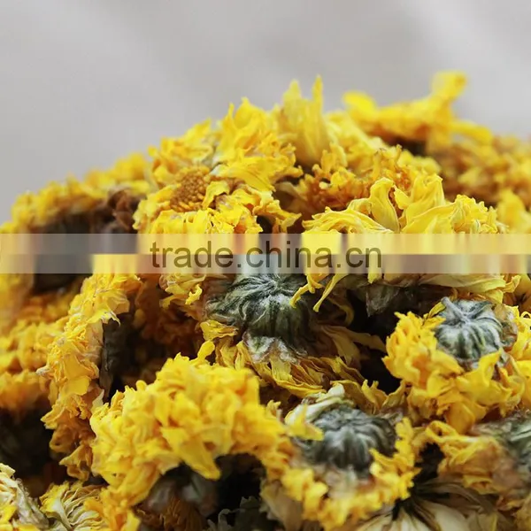 2015yr Yellow Chrysanthemum Flowers,Chinese Flower Tea,Dried Chrysanthemum Flower photo-5