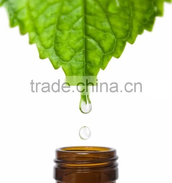 Wholesale 100% Pure Natural Peppermint Oil photo-5
