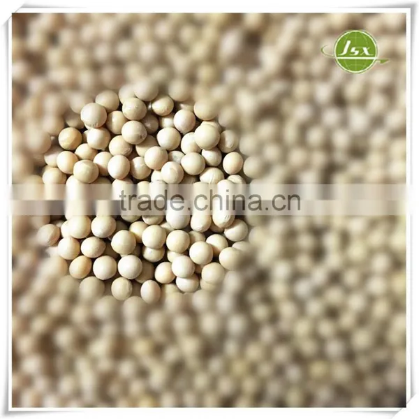 JSX NON GMO Kidney Beans,Soybeans and Soyabeans Milk In Stock photo-6