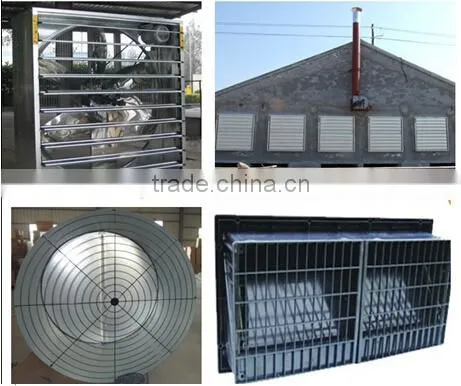 Advanced Design Automatic Farming Equipment for Broilers and Chickens photo-2