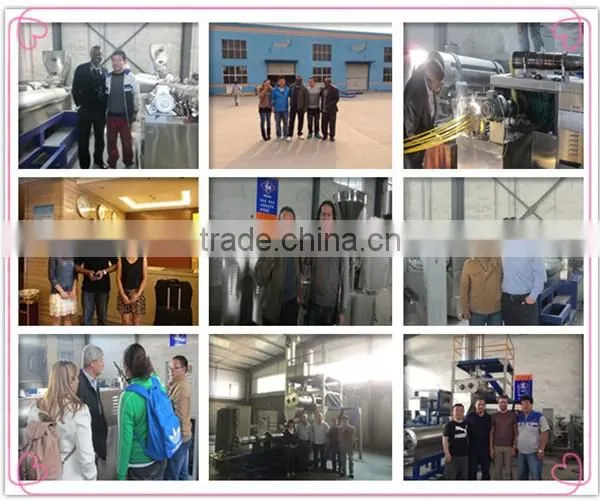CE Certified Corn Puff Snack/Inflating Snack Food Machine/Processing Line photo-5