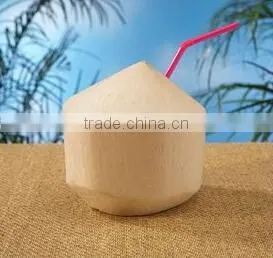 Young Coconut Peeler Machine for Sale /coconut Trimming Machine/coconut Peel Removing Machine photo-4