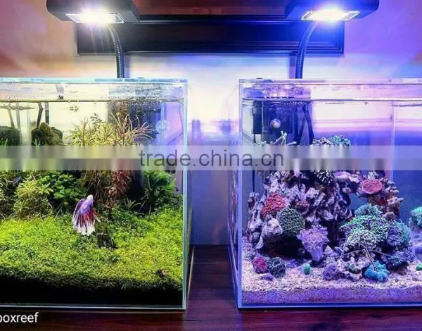 ESUN Polycaprolactone (polymorph)for Coral Reef Frag Glue Application in Aquarium photo-4