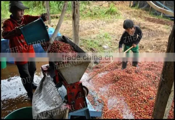Electric and Manual Coffee Bean Peeler Machine, Coffee Huller and Skin Removing Machine photo-4