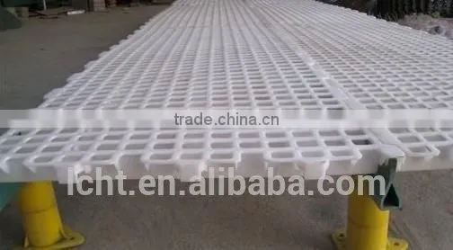 Chicken Plastic Floor photo-6