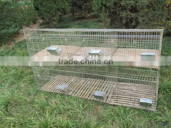 Rabbit Farming Cage/rabbit Breeding Cages/commercial Rabbit Cages photo-2