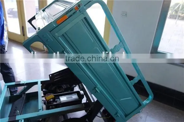 650W Electro Adult-tricycle for Sale Malaysia From China photo-5