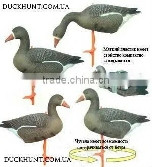 Greylag Goose Decoys, Greylag, Hunting Goosey.Canada Goose photo-3