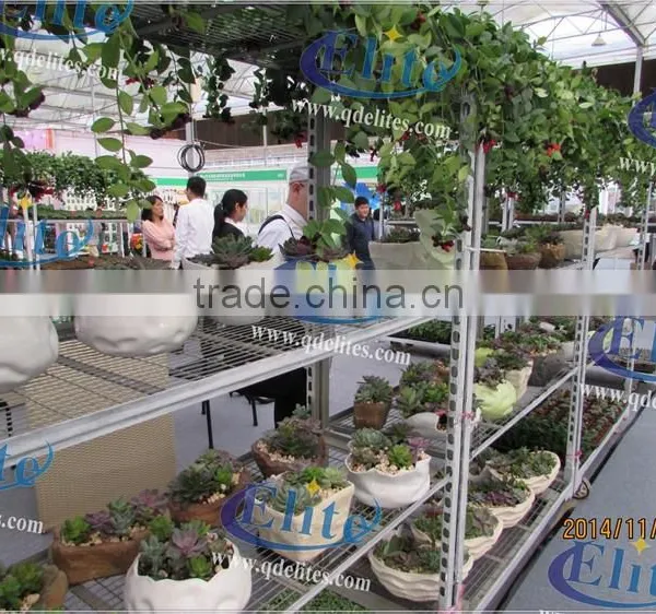 391 Seed Discharging Trolley photo-3