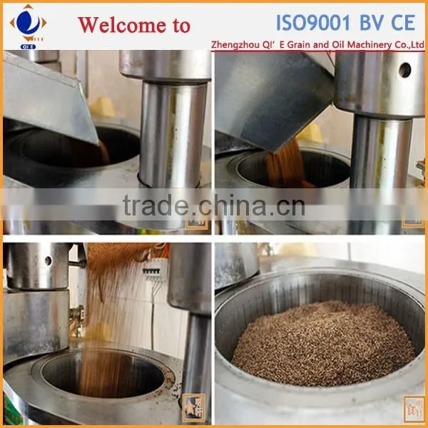 Soya Bean Oil Extraction Machine photo-4