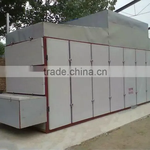 Continuous Scallion Slices Cubes Drying Machine photo-2