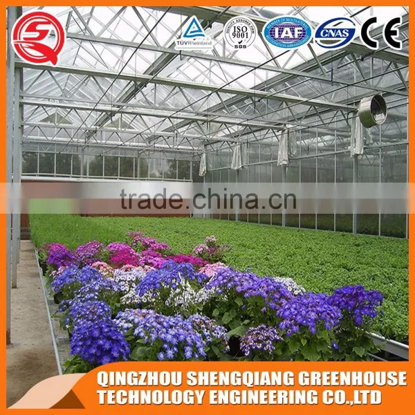 Glass Greenhouse Steel Frame Planting Grows and Teaching photo-5