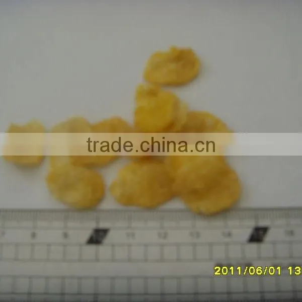 The CY65-II Fried Maize Food/corn Flaks Machine Line/plant photo-3