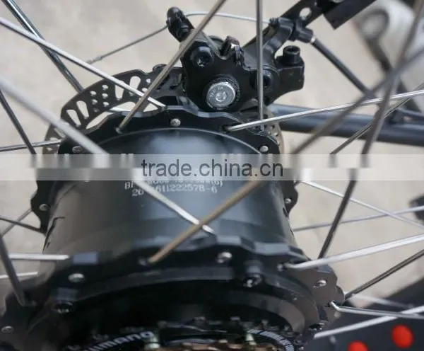 8FUN 48V 750W High Power Electric Fat Tire Bike With Pedals photo-3