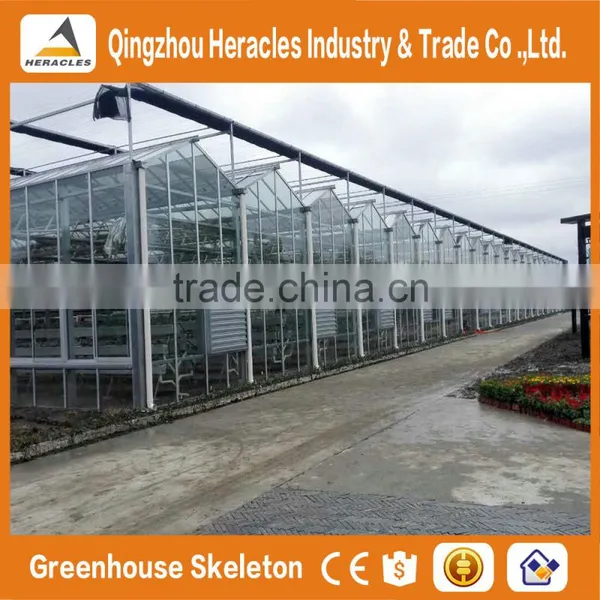 Heracles Venlo Glass Multi Span Agricultural Greenhouses photo-2