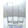 Glass Vase