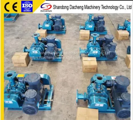 DSR65V Roots Vacuum Pump for Vacuum Impregnation photo-2