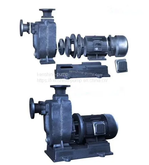 W Vortex Pump Booster Water Pump photo-3