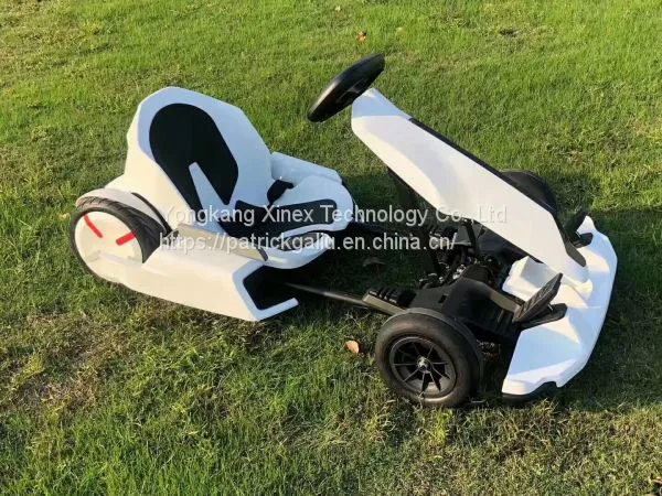 Ninebot Fashion go Kart photo-2
