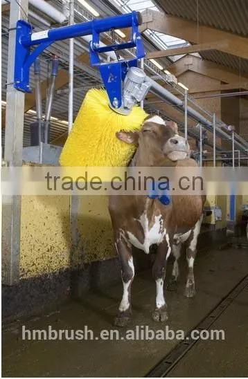 High Quality Customizd PP Material Cow Body Brush photo-4
