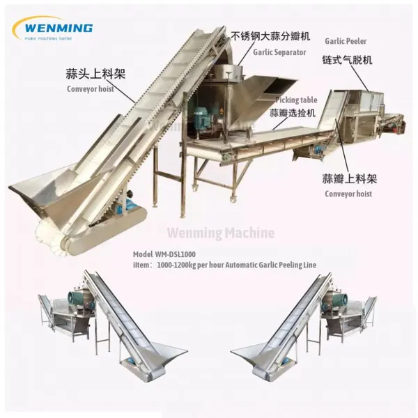 2000kg Industrial Garlic Peeling Production Line Garlic Peeling machine Industrial Garlic Peeling Processing line