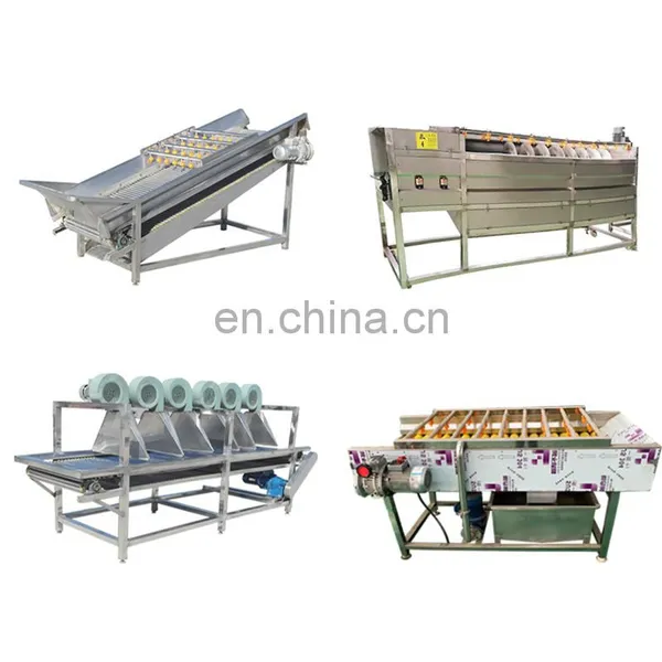 Vegetable Washing Cutting Drying Dehydrator Tray Carrot Drying Machine Cabbage Dryer photo-3