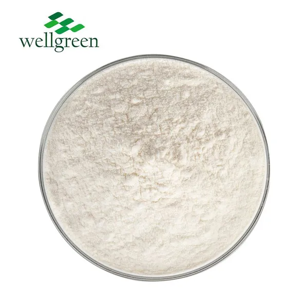 FREE SAMPLE Wellgreen Source Factory Supply Bulk Stock 5% 8% 10% Apple Cider Vinegar Powder photo-2