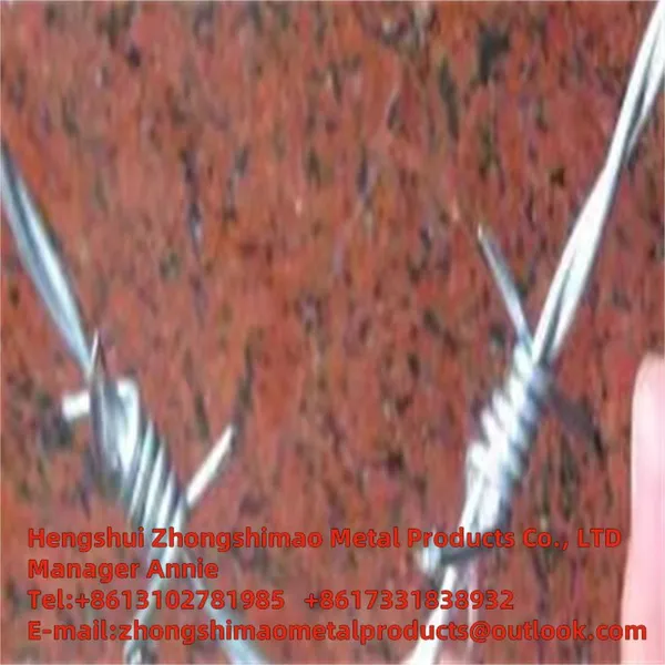 COMMON BARBED WIRE/PVC Coated Barbed Wire photo-5