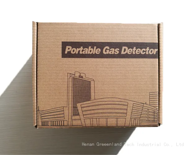 BX171 Portable Single Gas Detector Wirh Alarm photo-4
