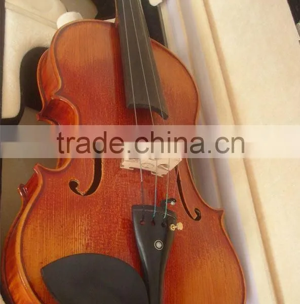 Viola