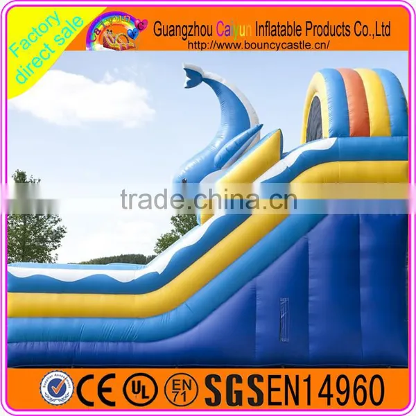 Blue Whale Inflatable Water Slide photo-6