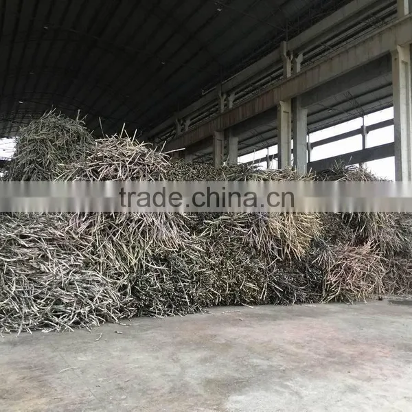 Refined Sparking White Cane Icumsa 45 Sugar 50kg Bags Soft Sugar photo-6