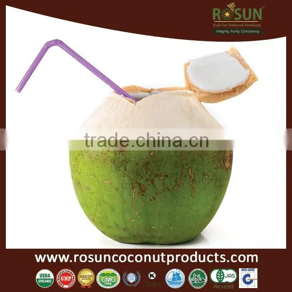 20Kg Vegan Coconut Cream Powder 35-40% Fat Content - Rosun Natural Products Pvt Ltd INDIA