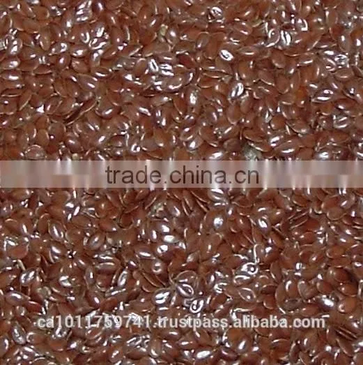 Flaxseed photo-2