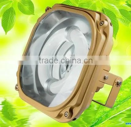Industrial Explosion Proof Lighting Fixtures Ip65
