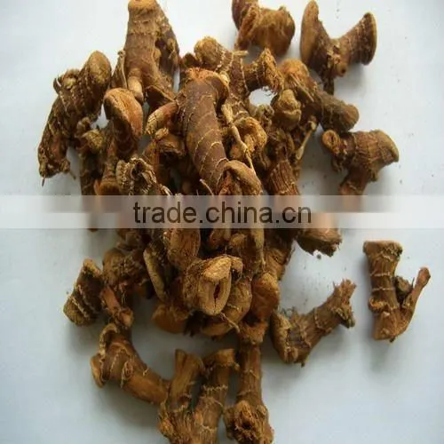 2015 New Crop Galangal Root