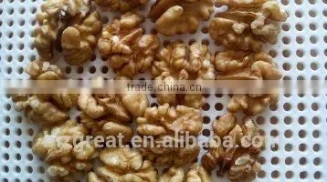 New Crop Best Price Chinese Walnut Kernel Light Halves photo-4